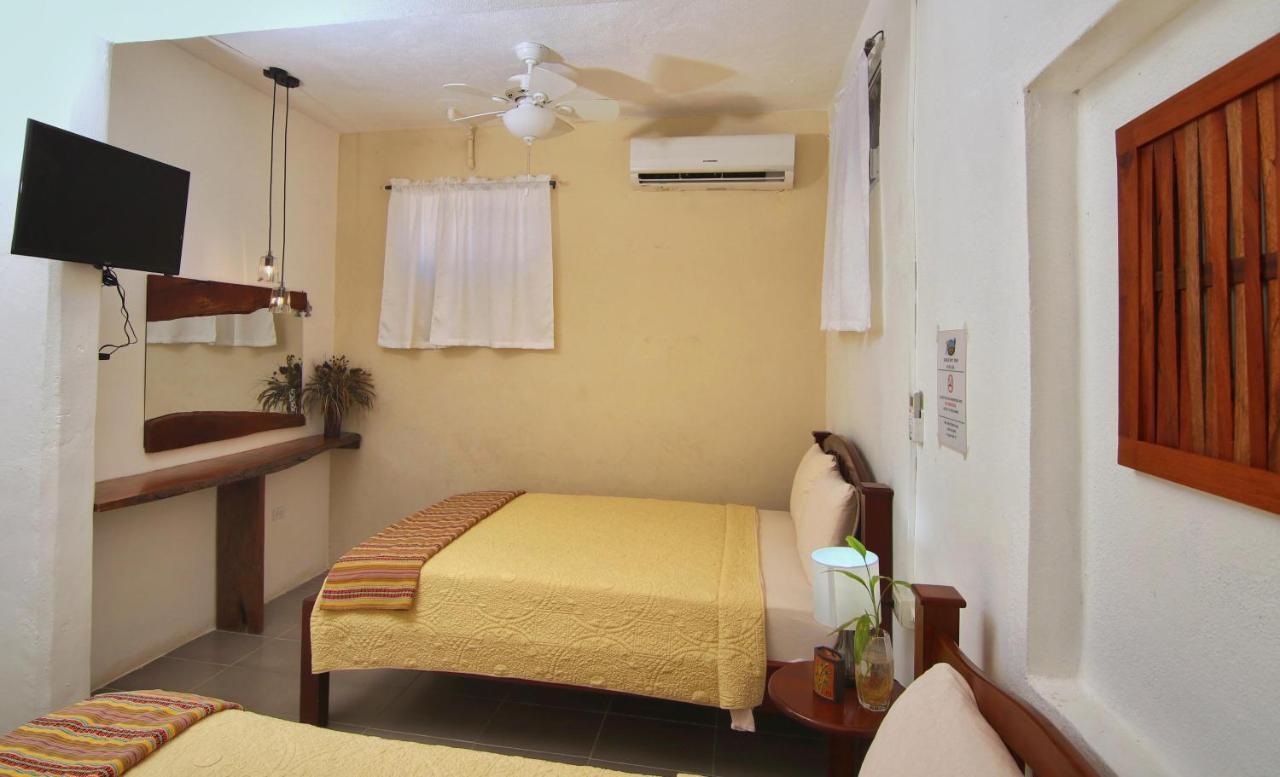 סן איגנאסיו Rainforest Haven Inn מראה חיצוני תמונה